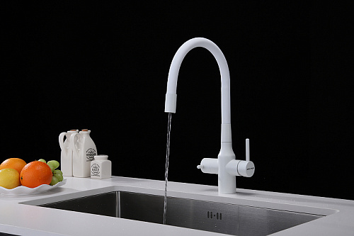 Смеситель для кухни Paulmark SALIX белый матовый Sa213419-WH Смеситель для кухни Paulmark SALIX белый матовый Sa213419-WH