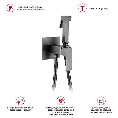 Гигиенический душ Raglo R01.52.09 встраиваемый, графит Гигиенический душ Raglo R01.52.09 встраиваемый, графит