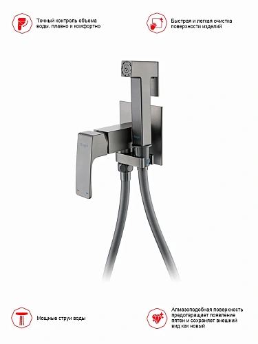 Гигиенический душ Raglo R02.54.09 встраиваемый, графит Гигиенический душ Raglo R02.54.09 встраиваемый, графит