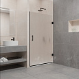 Душевая дверь RGW Passage PA-06B 600 мм Easy Clean черный 41080606-14 Душевая дверь RGW Passage PA-06B 600 мм Easy Clean черный 41080606-14