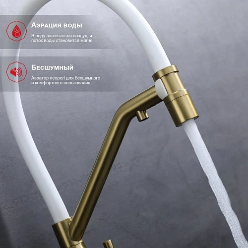 Смеситель для кухни Raglo R81.62.03 с гибким изливом с подключением к фильтру, золотой сатин Смеситель для кухни Raglo R81.62.03 с гибким изливом с подключением к фильтру, золотой сатин