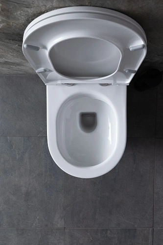 Комплект унитаза Allen Brau Reality 4.32006.20/8.9466.0.000.000.1 (00316510) с инсталляцией, белый глянец Комплект унитаза Allen Brau Reality 4.32006.20/8.9466.0.000.000.1 (00316510) с инсталляцией, белый глянец