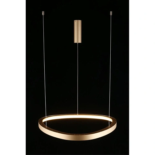 Люстра подвесная Aployt Zula APL.022.03.48 Люстра подвесная Aployt Zula APL.022.03.48