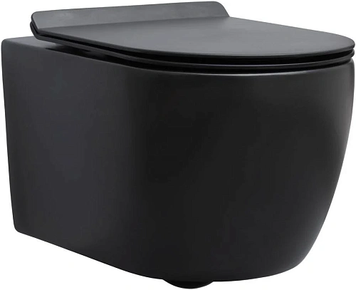 Унитаз подвесной Aquanet Rimless Cetus-BW BL-102N-WHT CETUS-BW с сиденьем Унитаз подвесной Aquanet Rimless Cetus-BW BL-102N-WHT CETUS-BW с сиденьем