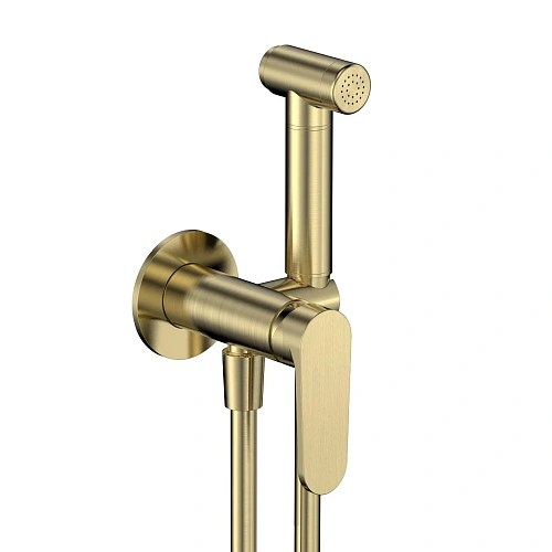 Гигиенический душ AQUAme Novara AQM6917BG скрытый монтаж, золото шлифованное Гигиенический душ AQUAme Novara AQM6917BG скрытый монтаж, золото шлифованное