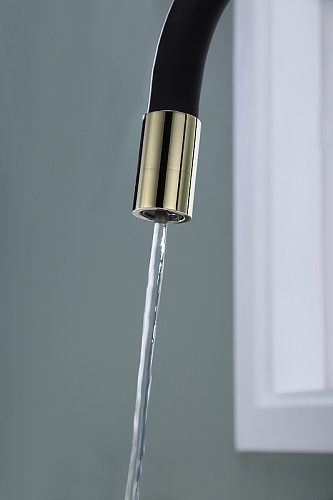 Смеситель для кухни Paulmark Salix золото Sa213419-G Смеситель для кухни Paulmark Salix золото Sa213419-G