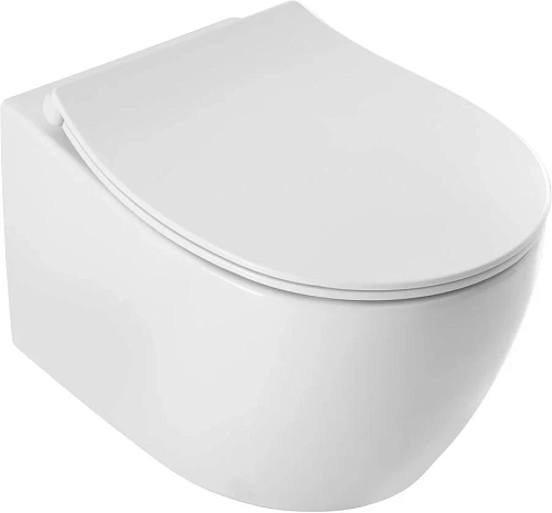 Унитаз подвесной Allen Brau Fantasy 3 Vortex 4.11035.20 сиденье с микролифт белый Унитаз подвесной Allen Brau Fantasy 3 Vortex 4.11035.20 сиденье с микролифт белый