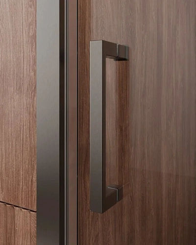 Душевая дверь CEZARES MOLVENO-BF-1-150-C-GM-IV цвет профиля оружейная сталь стекло прозрачное Душевая дверь CEZARES MOLVENO-BF-1-150-C-GM-IV цвет профиля оружейная сталь стекло прозрачное