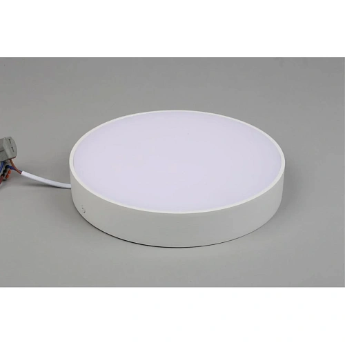 Светильник настенно-потолочный Aployt Evon APL.0113.09.24 Светильник настенно-потолочный Aployt Evon APL.0113.09.24