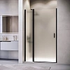 Картинка анонса товара «душевая дверь rgw leipzig le-004b 1100 мм easy clean черный 351200411-24»