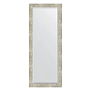 Зеркало в багетной раме Evoform Exclusive BY 1169 56 x 141 см, алюминий Зеркало в багетной раме Evoform Exclusive BY 1169 56 x 141 см, алюминий