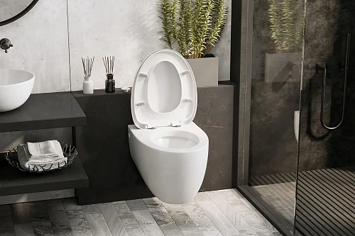 Унитаз подвесной ABBER Bequem AC1107P белый с импульсным смывом с крышкой микролифт Унитаз подвесной ABBER Bequem AC1107P белый с импульсным смывом с крышкой микролифт