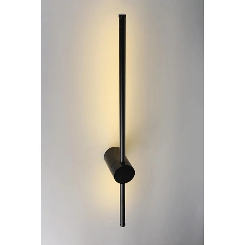 Светильник настенный (Бра) Aployt Gabi APL.0123.01.07 Светильник настенный (Бра) Aployt Gabi APL.0123.01.07