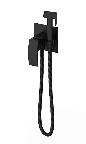 Гигиенический душ Wonzon & Woghand черный матовый (WW-88829009-MB) Гигиенический душ Wonzon & Woghand черный матовый (WW-88829009-MB)