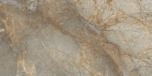 Керамогранит Neodom Supreme Rain Forest 60x120 CV20194 Керамогранит Neodom Supreme Rain Forest 60x120 CV20194