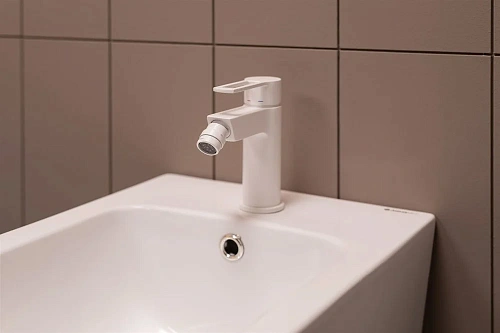 Чаша напольного унитаза Aquanet Rimless Cetus-C1 BL-102N-TPT CETUS-C1 с сиденьем Чаша напольного унитаза Aquanet Rimless Cetus-C1 BL-102N-TPT CETUS-C1 с сиденьем