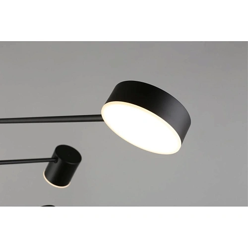 Люстра потолочная Aployt Frania APL.017.07.48 Люстра потолочная Aployt Frania APL.017.07.48