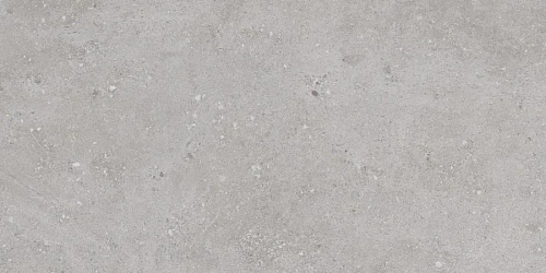 Керамогранит Flax Grey Matt 59.5x120 N30055 Керамогранит Flax Grey Matt 59.5x120 N30055