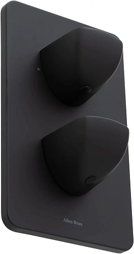 Смеситель для ванны Allen Brau Infinity 5.21216-31 (с внутренней частью, 2 выхода) черный матовый Смеситель для ванны Allen Brau Infinity 5.21216-31 (с внутренней частью, 2 выхода) черный матовый