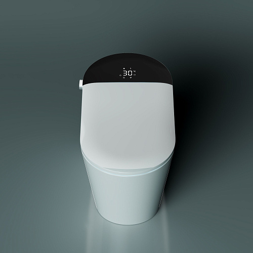 Унитаз SMART Timo TЕ-741B (700x400x465) напольный с функцией биде Унитаз SMART Timo TЕ-741B (700x400x465) напольный с функцией биде