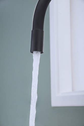 Смеситель для кухни Paulmark SALIX антрацит Sa213419-AN Смеситель для кухни Paulmark SALIX антрацит Sa213419-AN