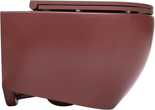Унитаз подвесной Allen Brau Reality 4.32015.BD сиденье с микролифт бордо Унитаз подвесной Allen Brau Reality 4.32015.BD сиденье с микролифт бордо