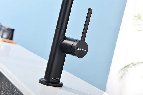 Смеситель для кухни Paulmark NEO антрацит Ne214419-AN Смеситель для кухни Paulmark NEO антрацит Ne214419-AN