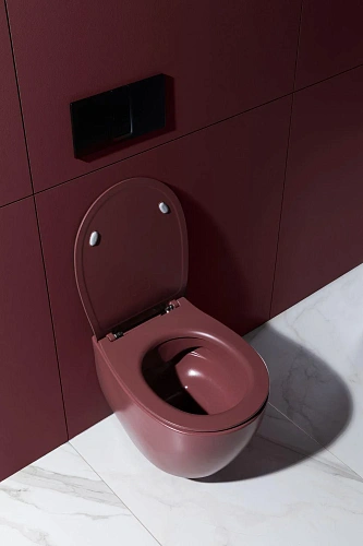 Унитаз подвесной Allen Brau Fantasy 4.11004.BD с крышкой, бордо Унитаз подвесной Allen Brau Fantasy 4.11004.BD с крышкой, бордо