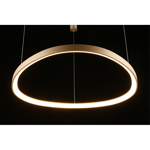 Люстра подвесная Aployt Zula APL.022.03.60 Люстра подвесная Aployt Zula APL.022.03.60