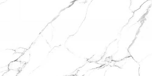 Керамогранит Neodom Ambassador Mckinley Glossy 60x120 CV20222 Керамогранит Neodom Ambassador Mckinley Glossy 60x120 CV20222