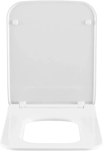 Крышка-сиденье Allen Brau Liberty 4.33008.21 белый матовый Крышка-сиденье Allen Brau Liberty 4.33008.21 белый матовый