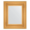 Зеркало в багетной раме Evoform Definite BY 3027 49 x 59 см, травленое золото Зеркало в багетной раме Evoform Definite BY 3027 49 x 59 см, травленое золото
