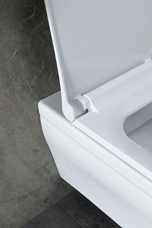 Унитаз подвесной Allen Brau Infinity 4.21011.20 с крышкой, белый глянец