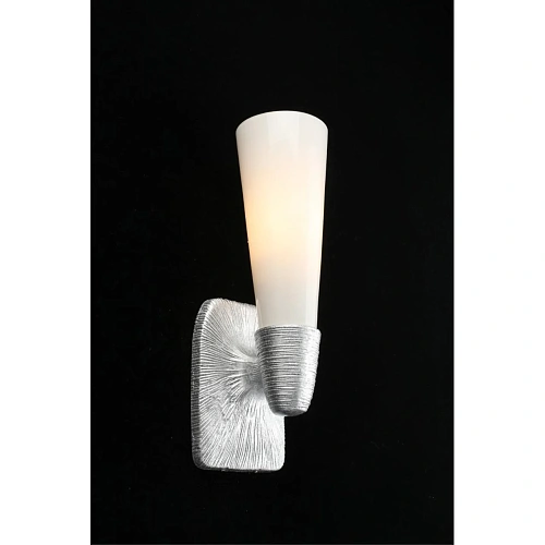 Светильник настенный (Бра) Aployt Hloya APL.800.11.01 Светильник настенный (Бра) Aployt Hloya APL.800.11.01