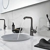 Смеситель для раковины GROHE Essence New с донным клапаном, L-Size, темный графит матовый (32628AL1) Смеситель для раковины GROHE Essence New с донным клапаном, L-Size, темный графит матовый (32628AL1)
