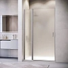 Картинка анонса товара «душевая дверь rgw leipzig le-004gr 1200 мм easy clean серый 351200412-210»