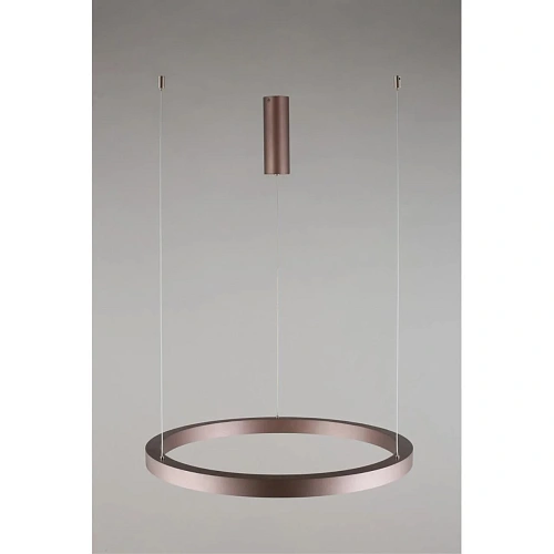 Люстра подвесная Aployt Nisia APL.025.03.48 Люстра подвесная Aployt Nisia APL.025.03.48