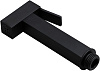 Картинка анонса товара «гигиеническая лейка allen brau infinity 5.21a05-31 черный матовый»
