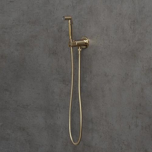 Гигиенический душ Lemark Solo LM7171G, встраиваемый, золото Гигиенический душ Lemark Solo LM7171G, встраиваемый, золото