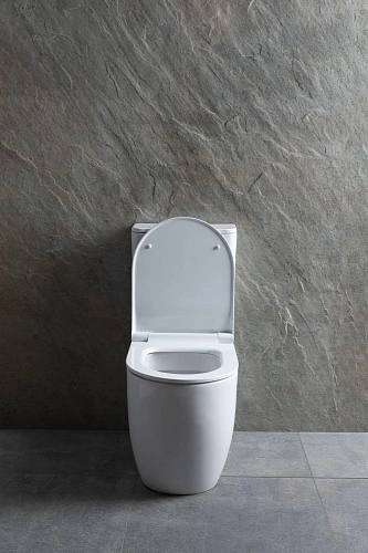 Чаша напольного унитаза Allen Brau Priority 4.31003.20 с крышкой, белый Чаша напольного унитаза Allen Brau Priority 4.31003.20 с крышкой, белый