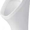 Писсуар Duravit DuraStyle 2804300007 30 см белый Писсуар Duravit DuraStyle 2804300007 30 см белый