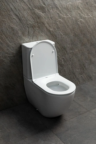 Чаша напольного унитаза Allen Brau Priority Tornado 4.31006.20 с крышкой, белый глянец Чаша напольного унитаза Allen Brau Priority Tornado 4.31006.20 с крышкой, белый глянец