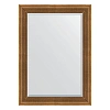 Зеркало в багетной раме Evoform Exclusive BY 3466 77 x 107 см, бронзовый акведук