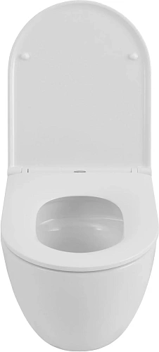 Унитаз подвесной Allen Brau Priority Tornado 4.31008.20 с крышкой, белый глянец Унитаз подвесной Allen Brau Priority Tornado 4.31008.20 с крышкой, белый глянец