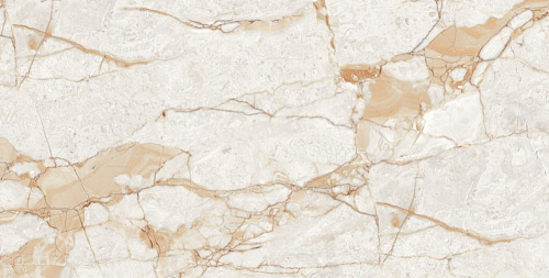 Керамогранит Neodom Ambassador Rosalia Glossy 60x120 CV20196 Керамогранит Neodom Ambassador Rosalia Glossy 60x120 CV20196