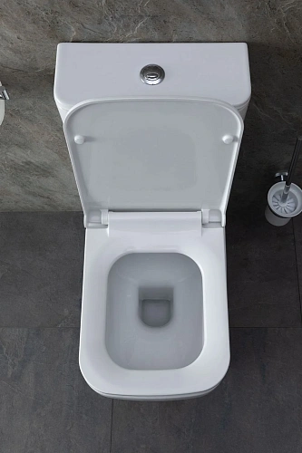 Чаша напольного унитаза Allen Brau Infinity 4.21012.20 с крышкой, белый глянец Чаша напольного унитаза Allen Brau Infinity 4.21012.20 с крышкой, белый глянец