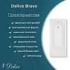 Ванна из искусственного камня Delice Bravo 180х70 DLR330064-G глянцевая Ванна из искусственного камня Delice Bravo 180х70 DLR330064-G глянцевая