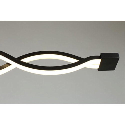 Светильник настенно-потолочный Aployt Nadayn APL.002.12.36 Светильник настенно-потолочный Aployt Nadayn APL.002.12.36