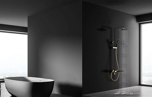 Душевая система Lemark Swan (LM5462BG) Душевая система Lemark Swan (LM5462BG)