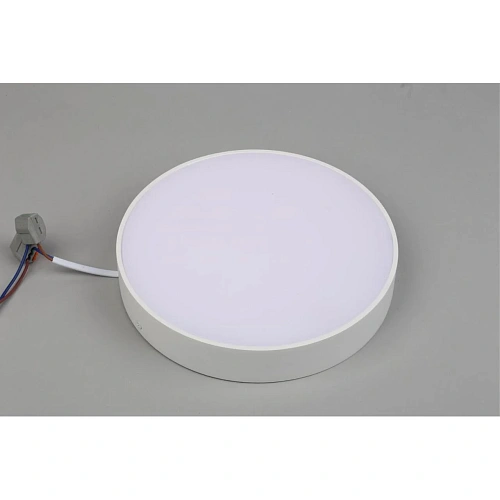 Светильник настенно-потолочный Aployt Evon APL.0113.09.24 Светильник настенно-потолочный Aployt Evon APL.0113.09.24